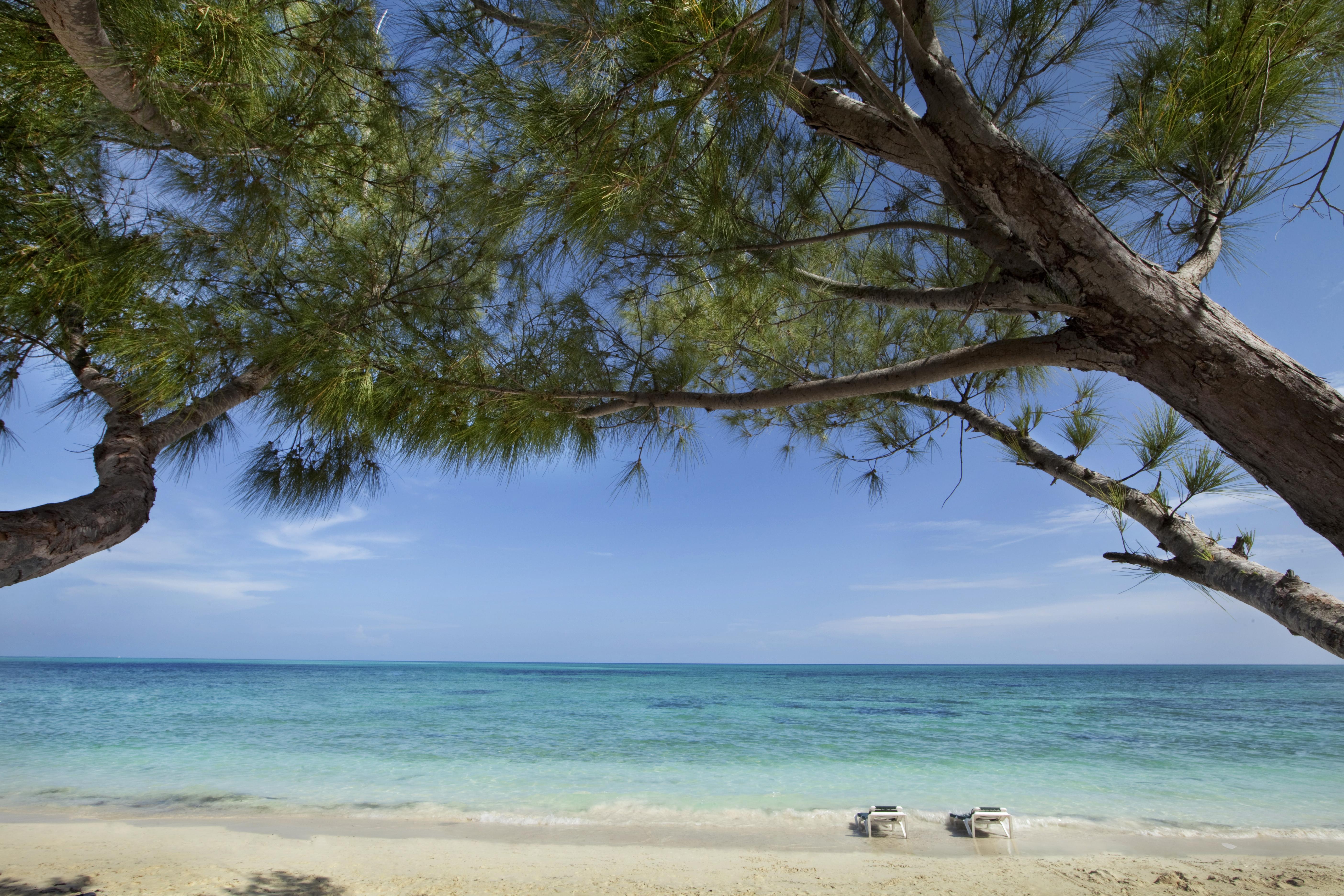Resort Viva Fortuna By Wyndham, A Trademark 3*