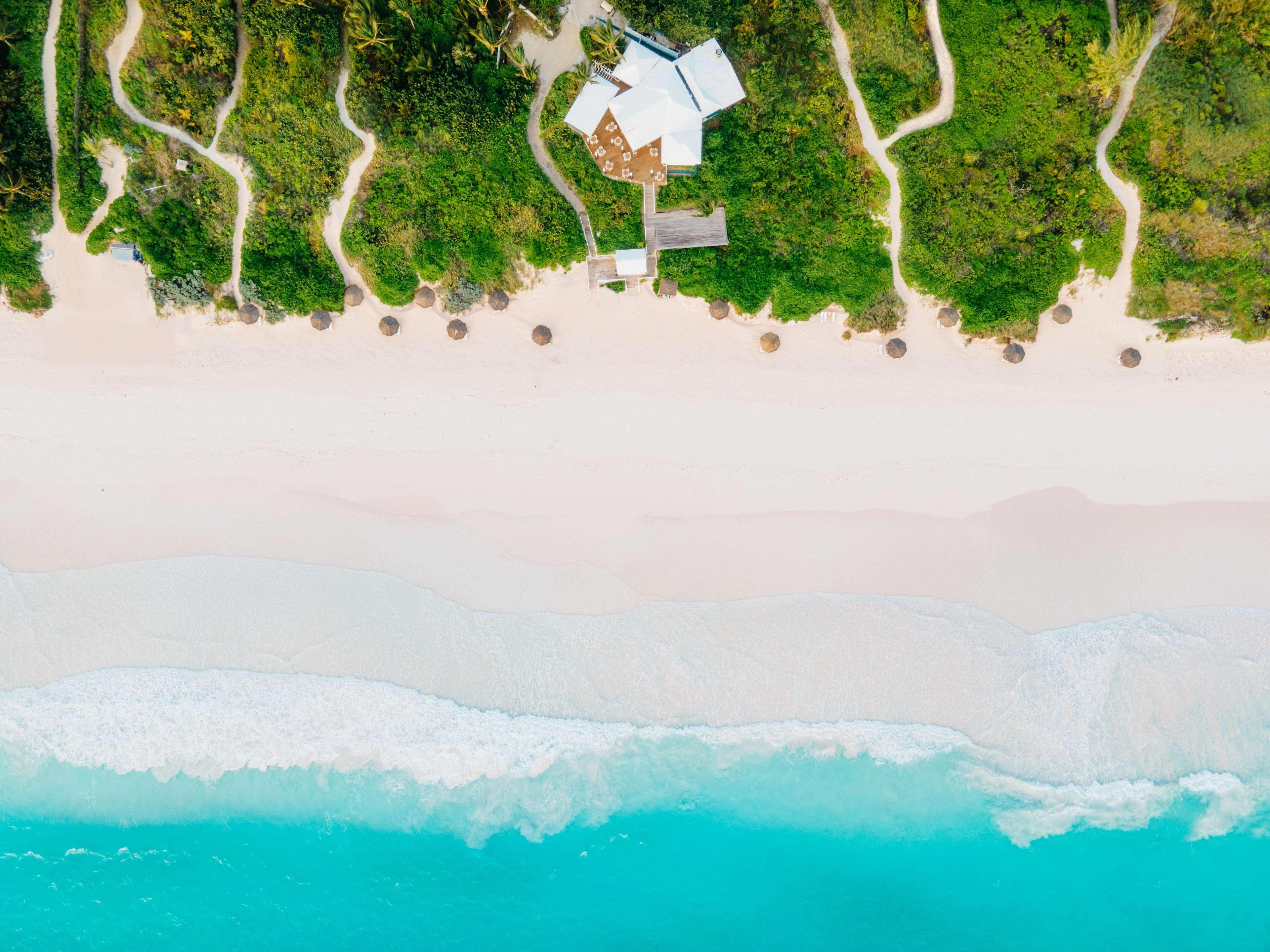 Pink Sands
