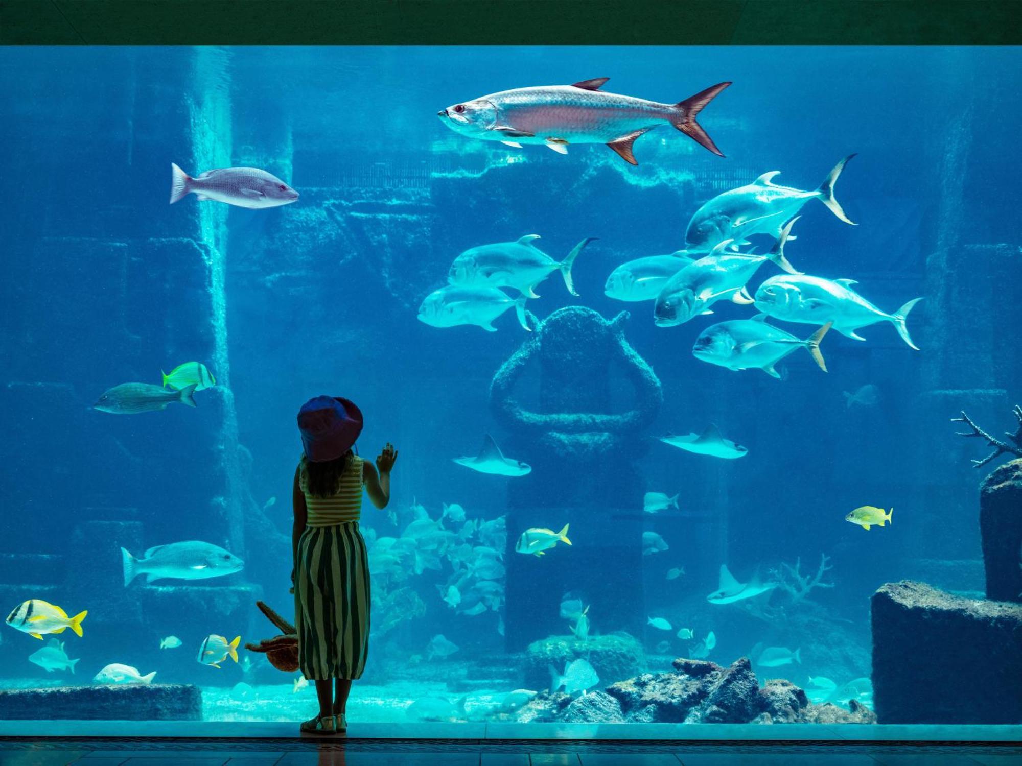 The Royal At Atlantis Resort 4*