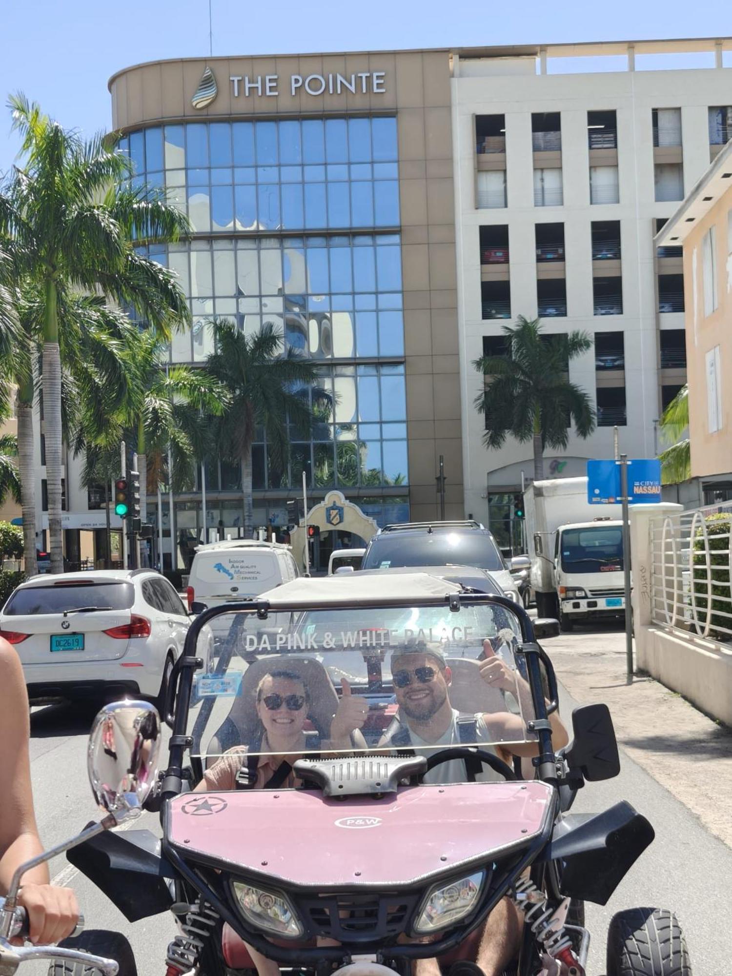 Hostel Da Pink And White Palace