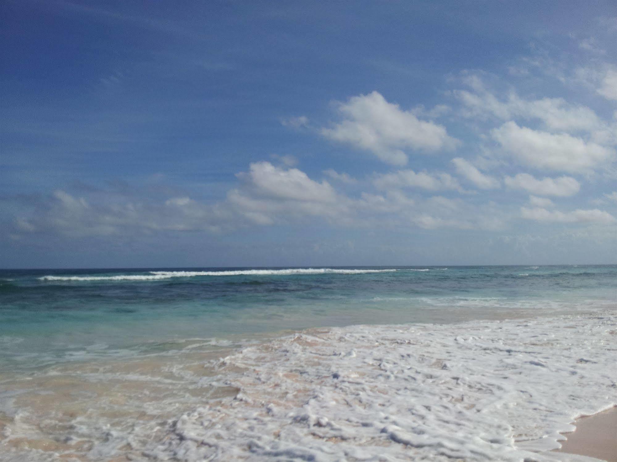Ocean Dream Smith Town