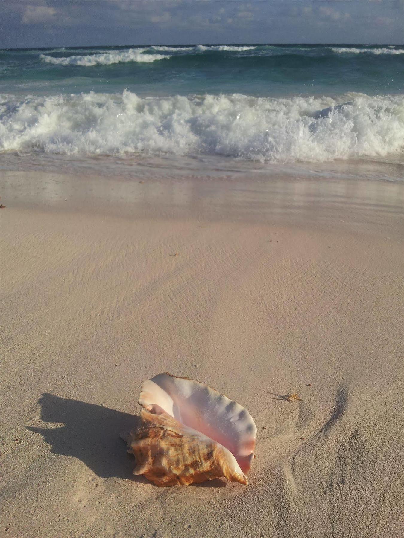 Ocean Dream Smith Town