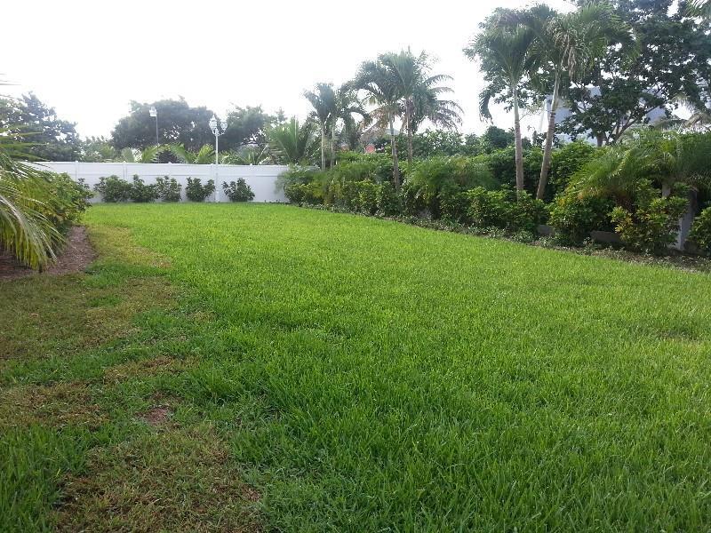 Hotel Realty Shores Nassau