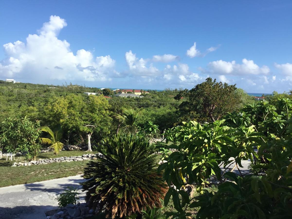 Homestay Turtles Nest Bahamas George Town