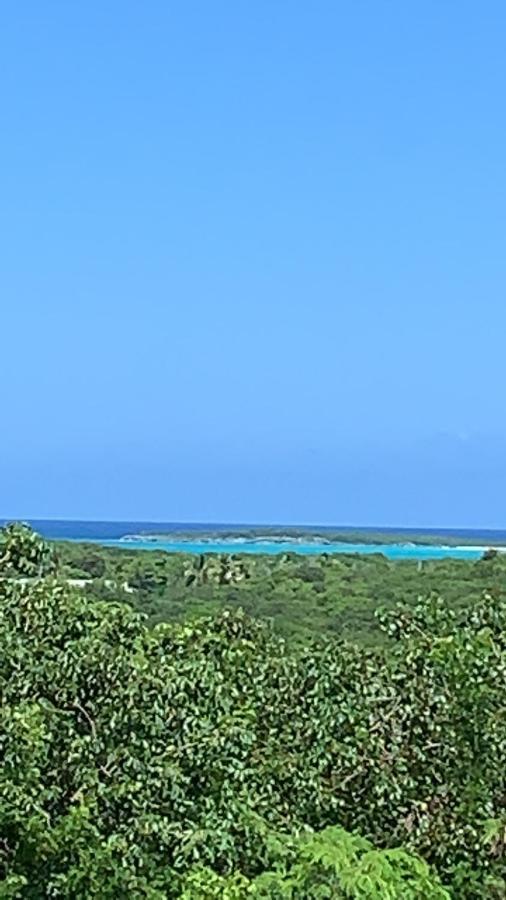 Turtles Nest Bahamas * George Town